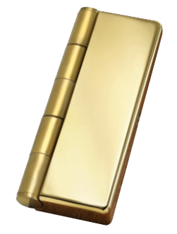 Polished Brass Hinge